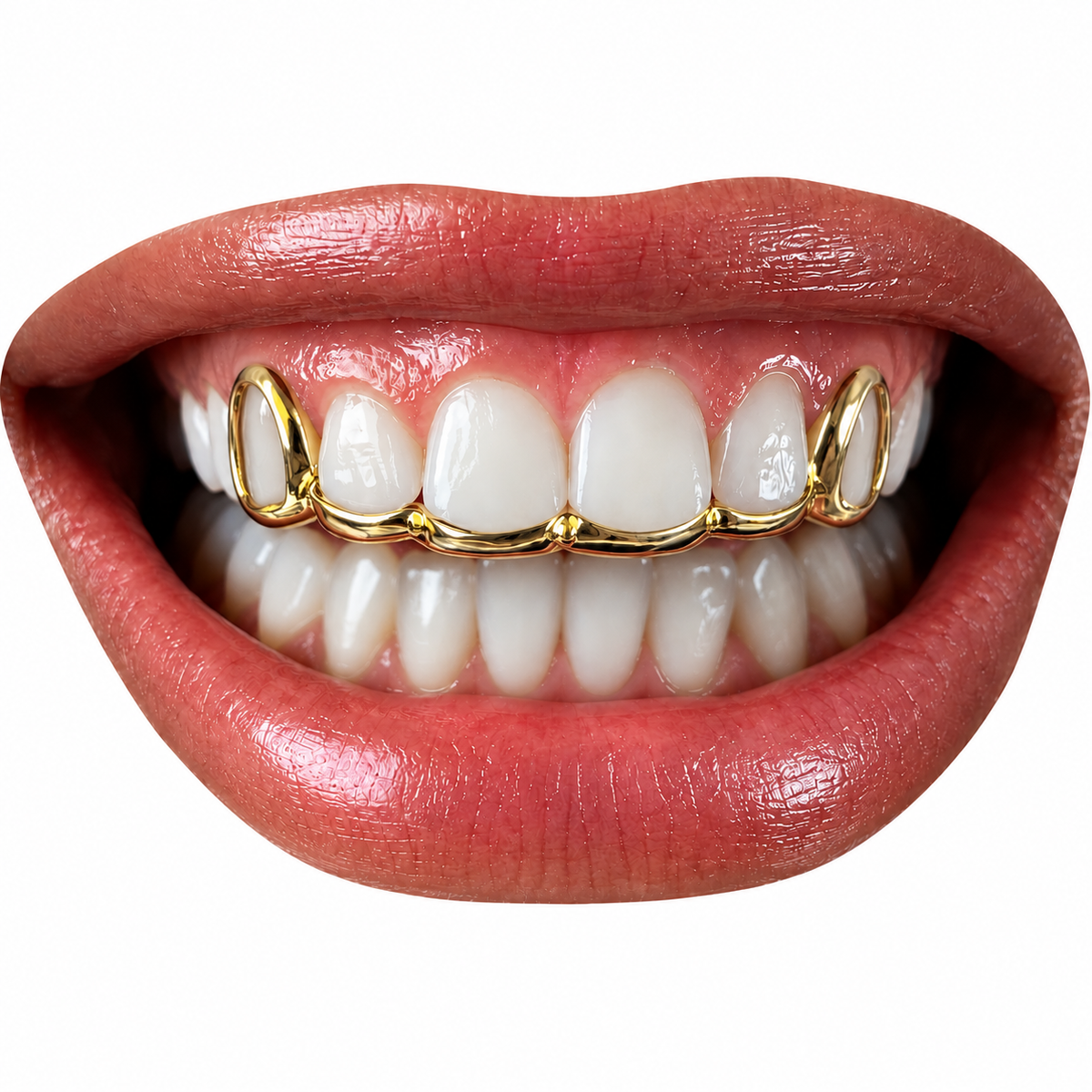 K9 Canine Grill with Visible Curved Connecting Bar | EASE (Top or Bottom)